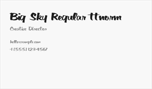 Big Sky Regular ttnorm Business Card