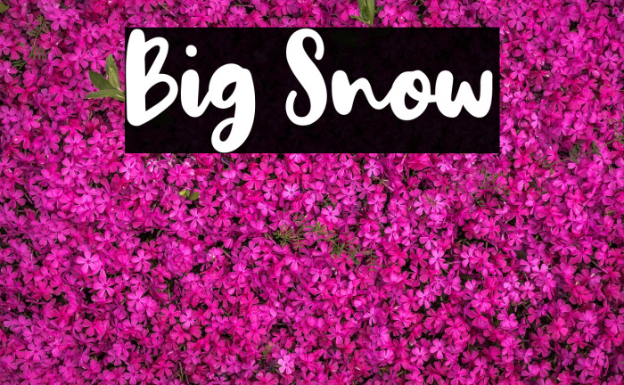 Big Snow Example 1