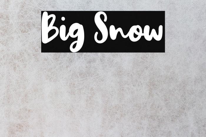 Big Snow Example 3