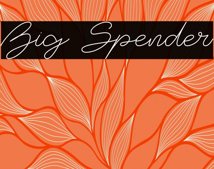 Big Spender Example 1