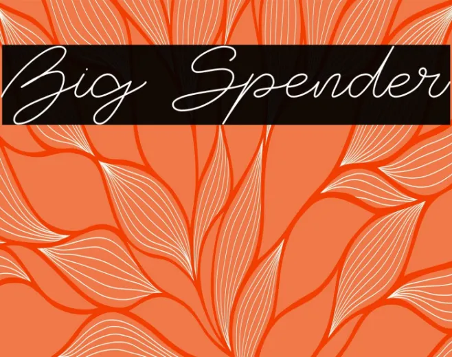 Big Spender Example 1