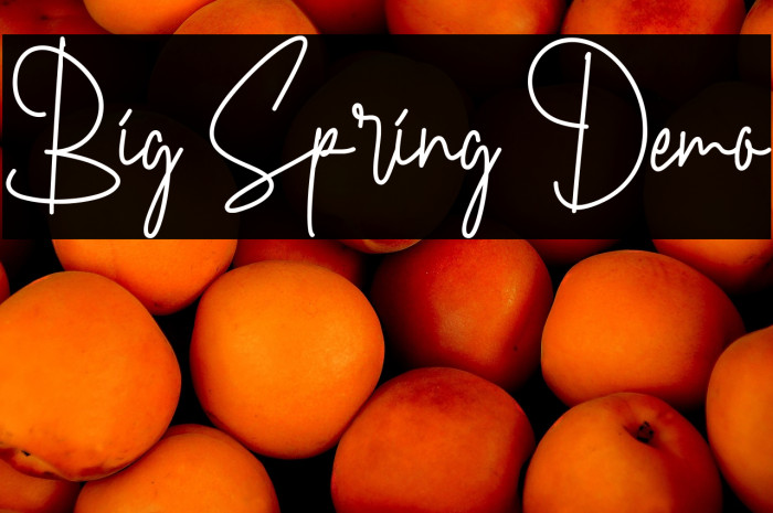 Big Spring Demo फ़ॉन्ट examples