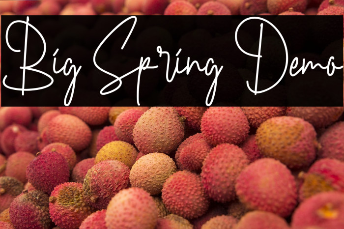 Big Spring Demo फ़ॉन्ट examples