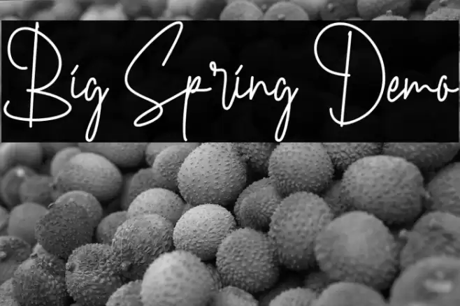 Big Spring Demo Font examples