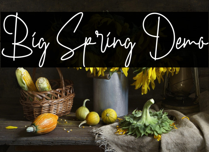 Big Spring Demo फ़ॉन्ट examples