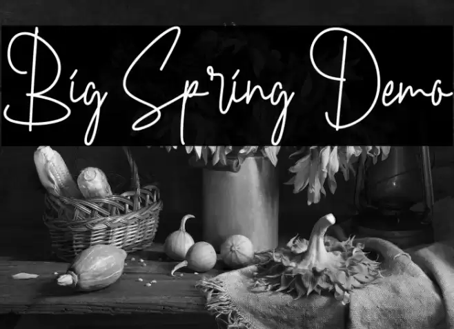 Big Spring Demo Font examples