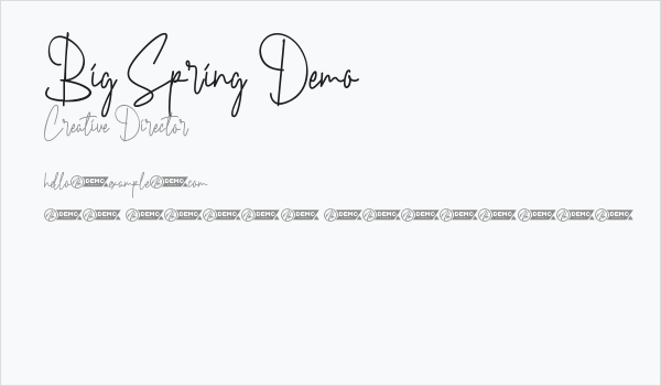 Big Spring Demo Business Card