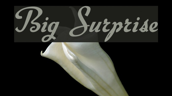 Big Surprise Example 1