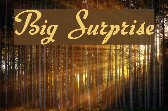 Big Surprise Example 2