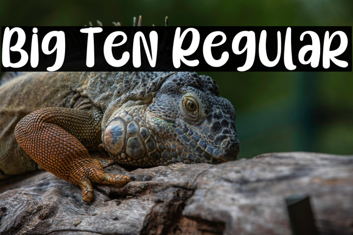 Big Ten Regular Example 3