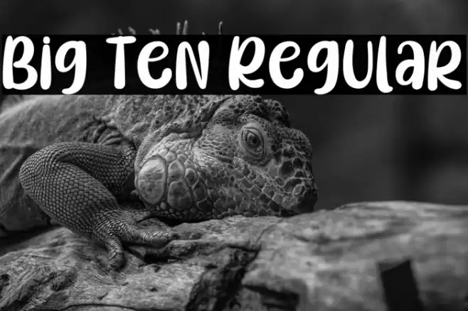 Big Ten Regular Font examples