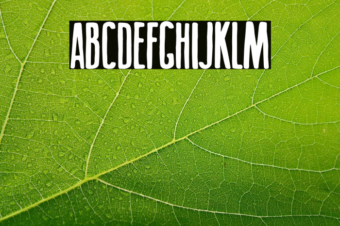 Big Titles Example 2