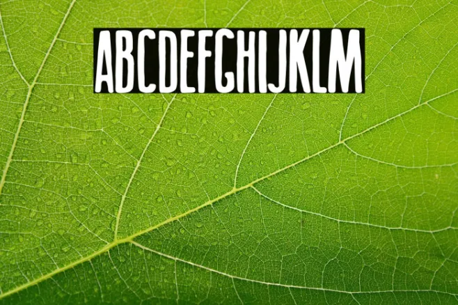 Big Titles Example 2