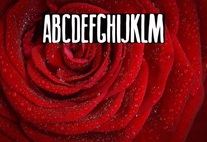 Big Titles Example 3