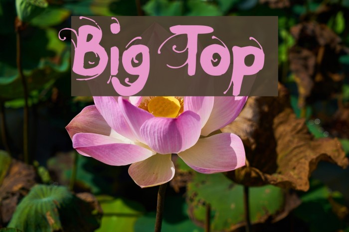 Big Top Font examples