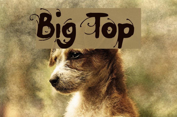Big Top Font examples