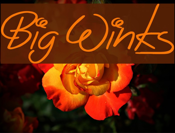 Big Winks Font examples