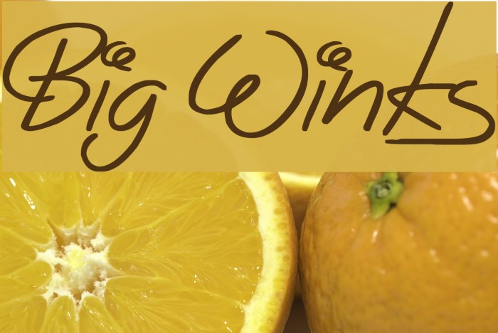 Big Winks Font examples