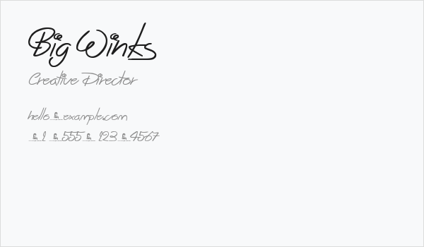 Big Winks Business Card