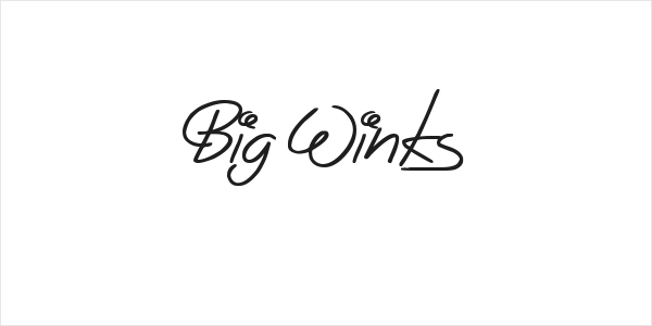 Big Winks Logo