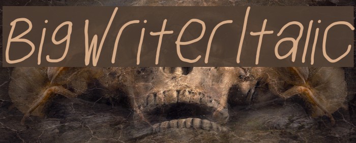 Big Writer Italic Example 2