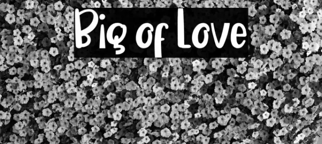 Big of Love Font examples