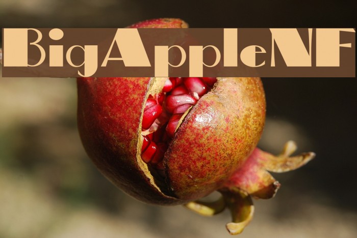 BigAppleNF Font examples