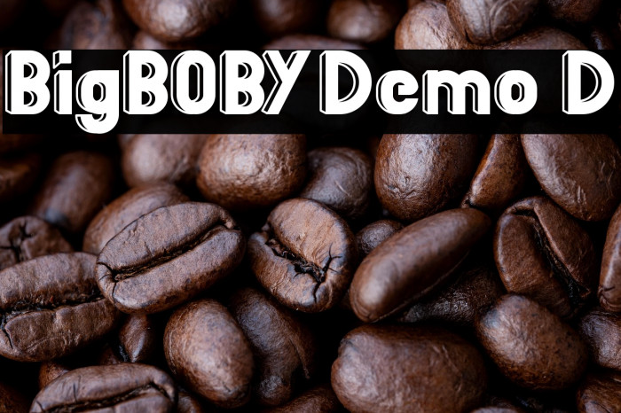 BigBOBY Demo 3D Example 1