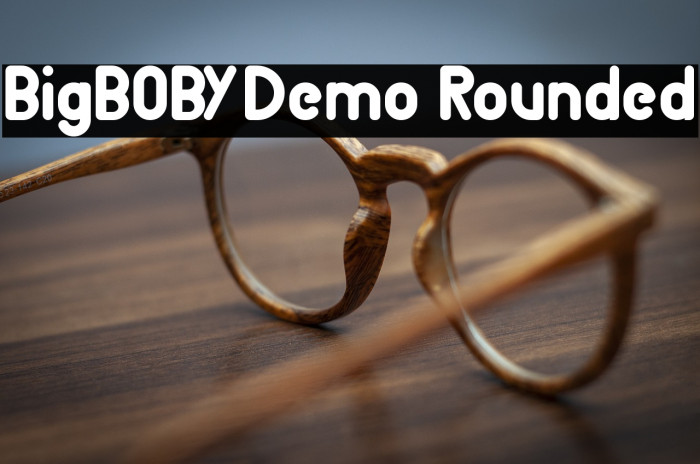 BigBOBY Demo Rounded Example 1