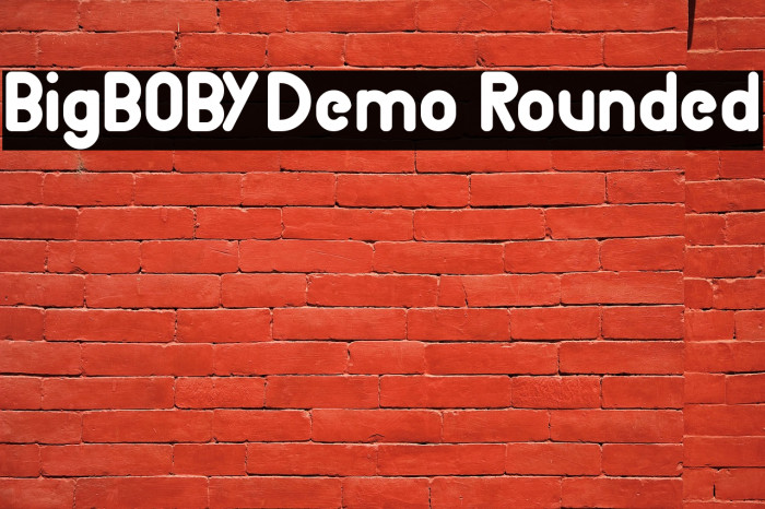 BigBOBY Demo Rounded Example 2