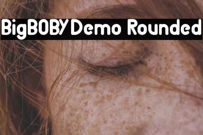 BigBOBY Demo Rounded Example 3
