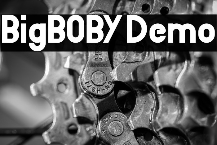 BigBOBY Demo Example 2
