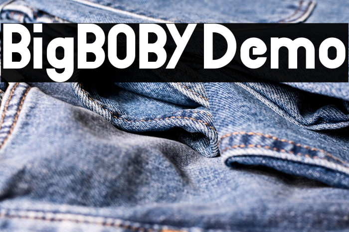 BigBOBY Demo Example 3