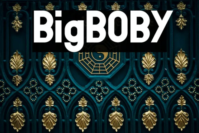 BigBOBY Example 1