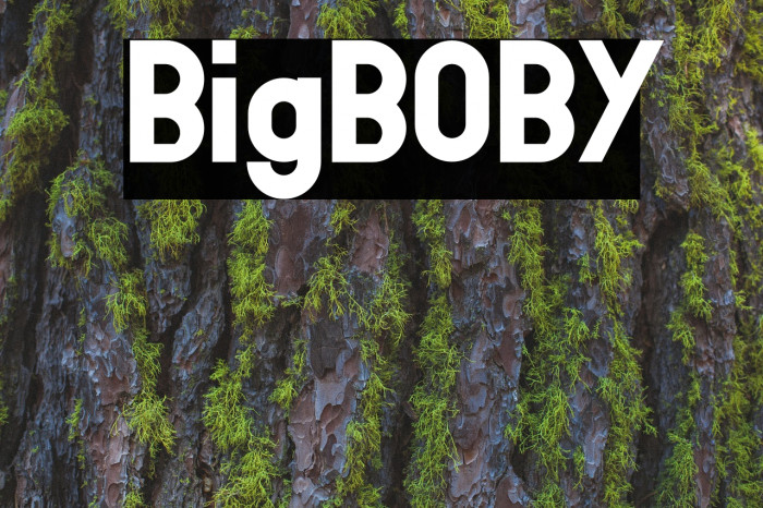 BigBOBY Font examples