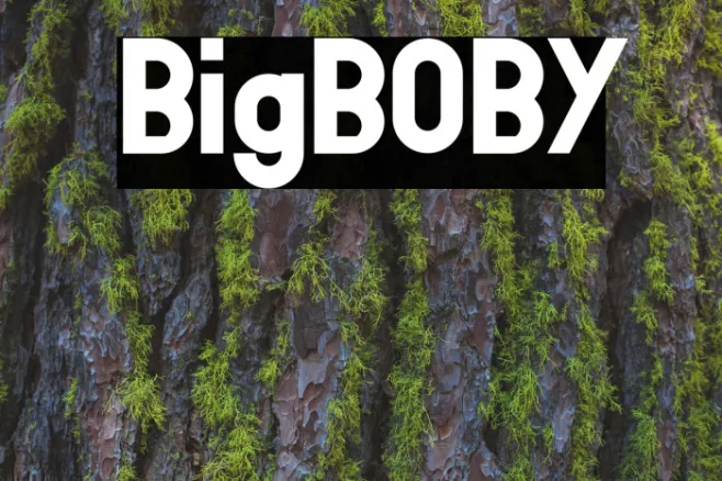 BigBOBY Example 2