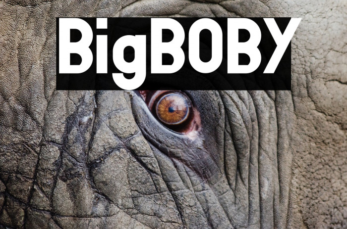 BigBOBY Font examples