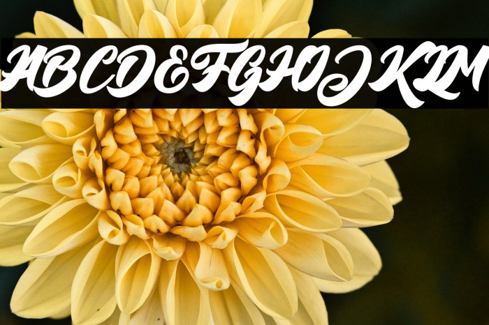 BigBlueBold-Bold Example 1