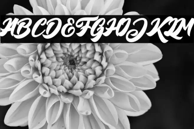 BigBlueBold-Bold Font examples