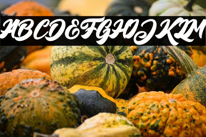 BigBlueBold-Bold Example 3