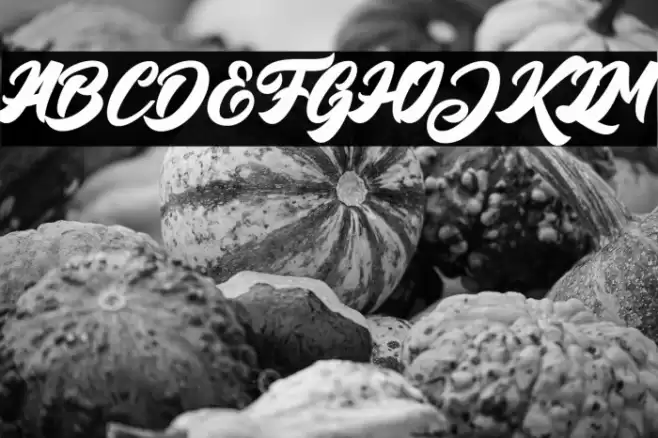 BigBlueBold-Bold Font examples