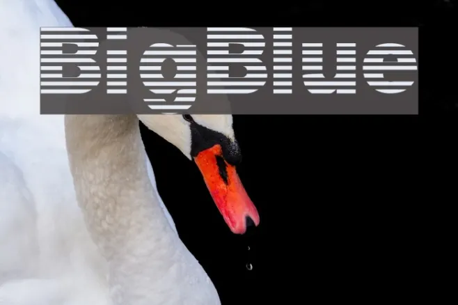BigBlue Example 1