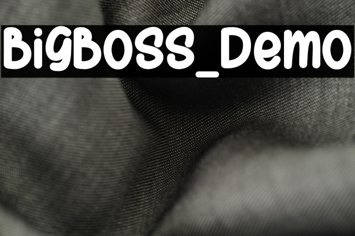 BigBoss_Demo Example 1