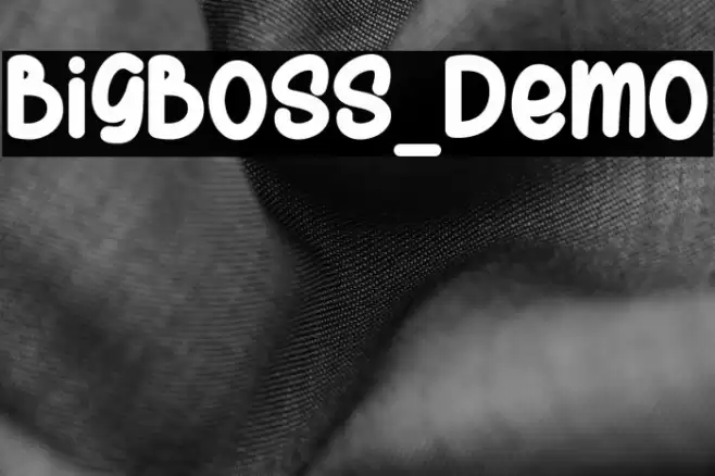 BigBoss_Demo Font examples