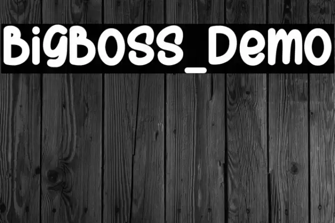 BigBoss_Demo Font examples
