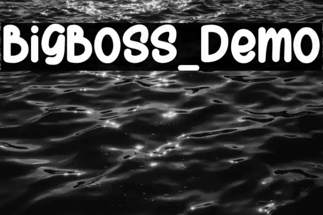 BigBoss_Demo Font examples