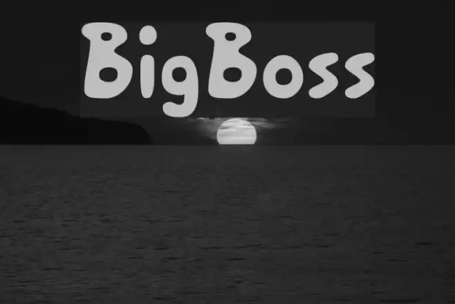 BigBoss Font examples