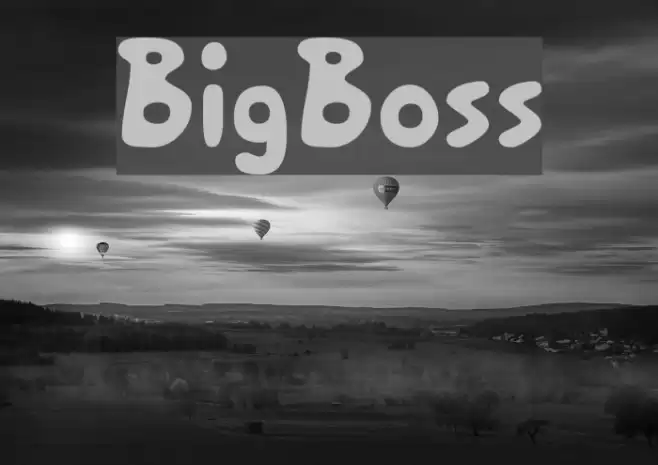 BigBoss Font examples