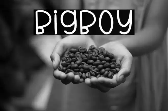 BigBoy Font examples