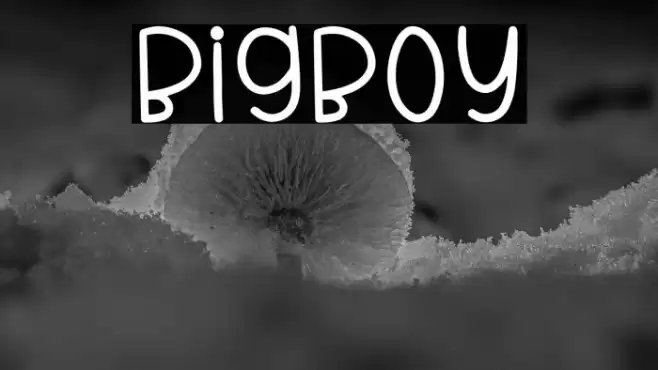 BigBoy Font examples
